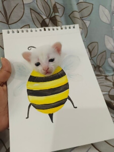 bee drawing with a cat head